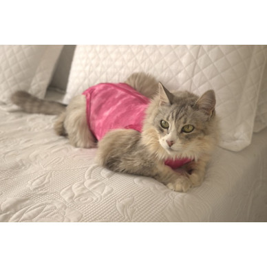 Haina Postoperatorie pentru Pisici DRY LIGHT SUPREME CAT Roz nr. 1 (2,3–3 kg), Pet Med